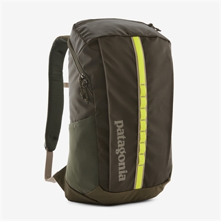 Patagonia Black Hole Pack 25L Pineneedle Green